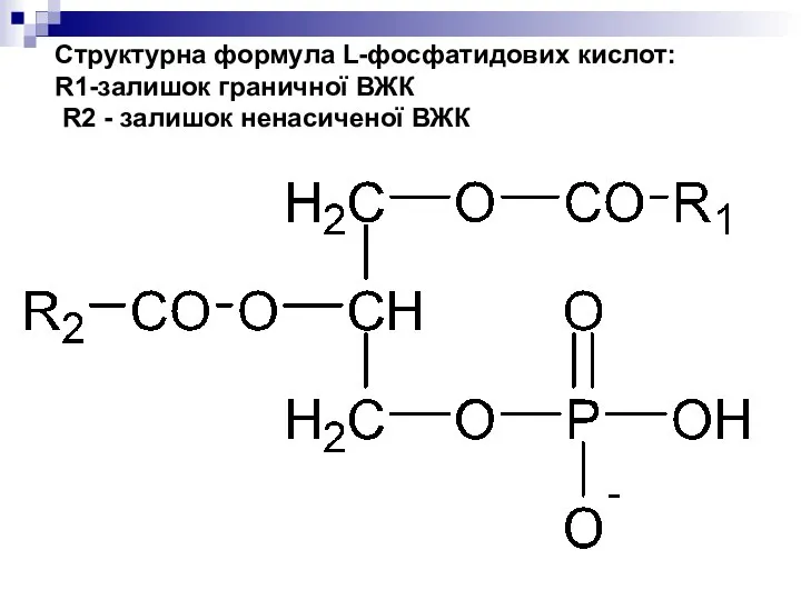 Структурна формула L-фосфатидових кислот: R1-залишок граничної ВЖК R2 - залишок ненасиченої ВЖК