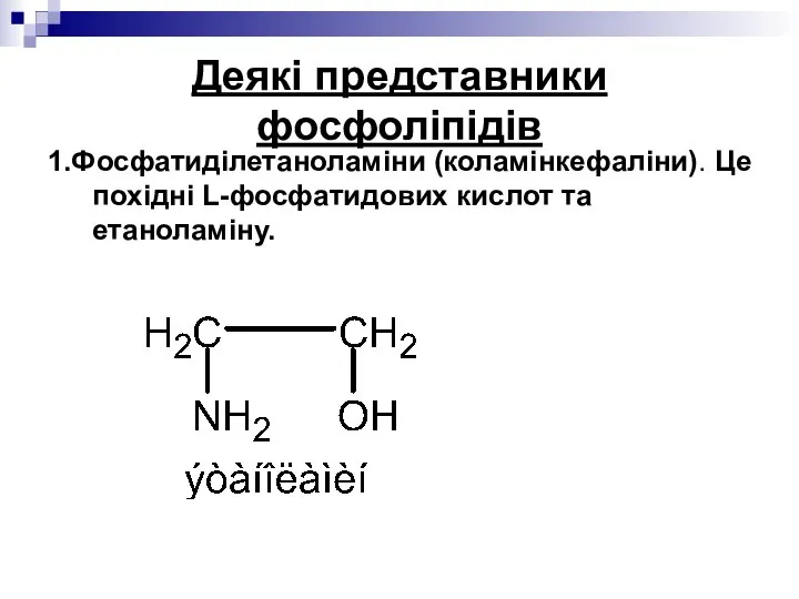 Деякі представники фосфоліпідів 1.Фосфатиділетаноламіни (коламінкефаліни). Це похідні L-фосфатидових кислот та етаноламіну.