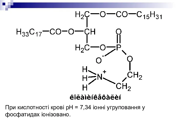 При кислотності крові рН = 7,34 іонні угруповання у фосфатидах іонізовано.