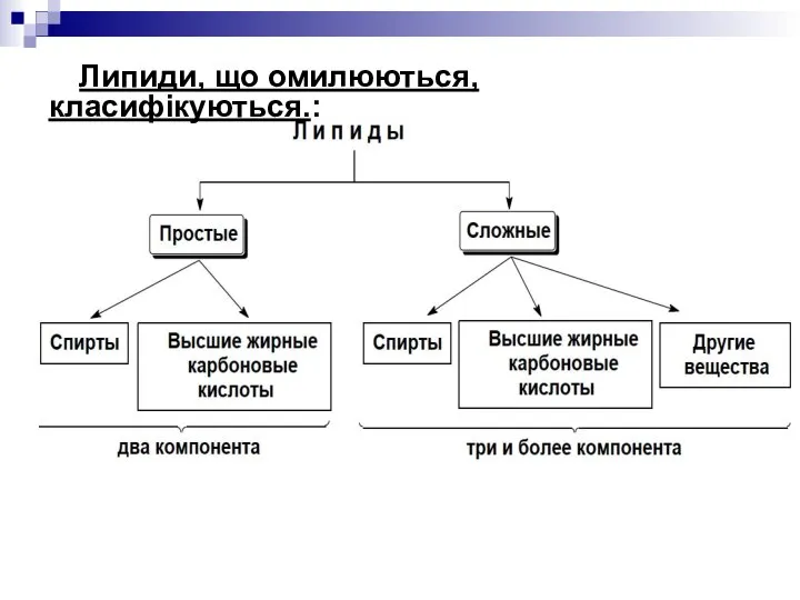 Липиди, що омилюються, класифікуються.: