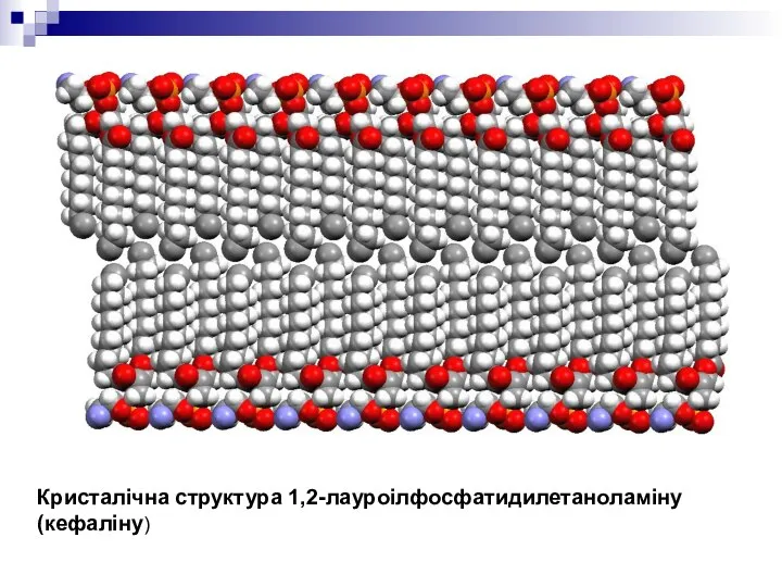 Кристалічна структура 1,2-лауроілфосфатидилетаноламіну (кефаліну)