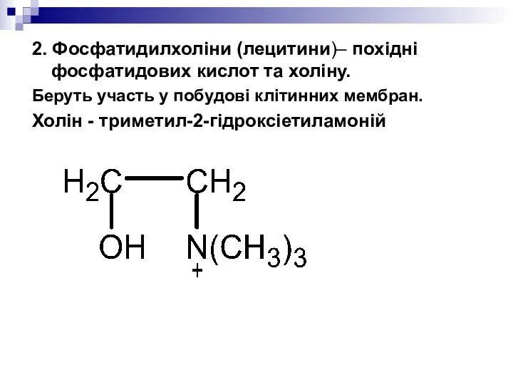 2. Фосфатидилхоліни (лецитини)– похідні фосфатидових кислот та холіну. Беруть участь у
