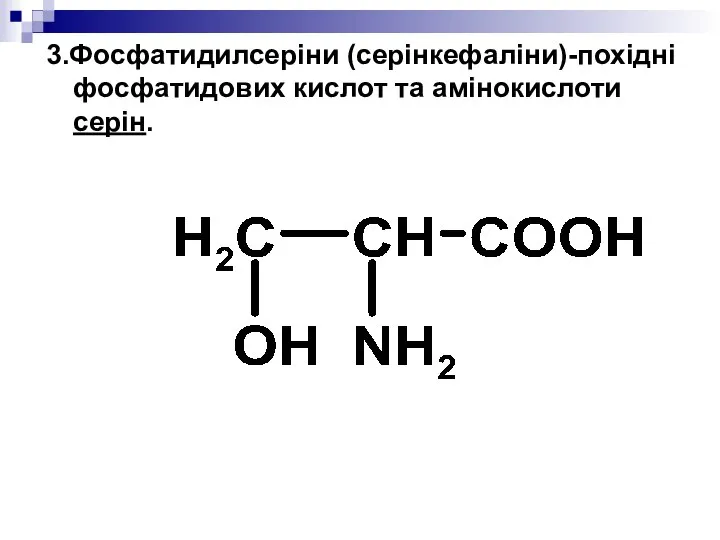 3.Фосфатидилсеріни (серінкефаліни)-похідні фосфатидових кислот та амінокислоти серін.