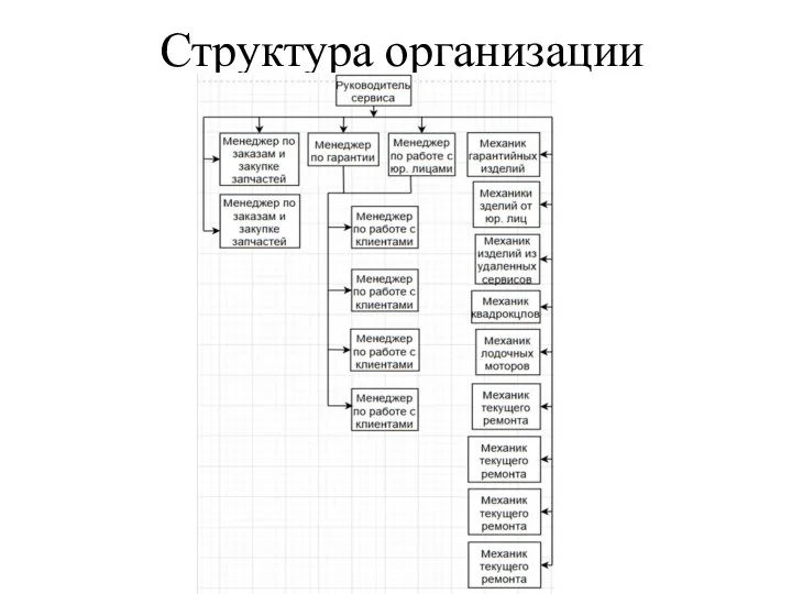 Структура организации