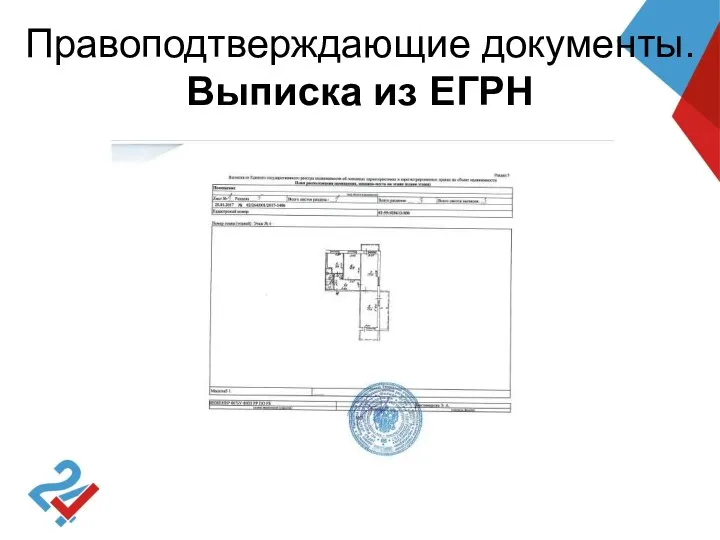 Правоподтверждающие документы. Выписка из ЕГРН