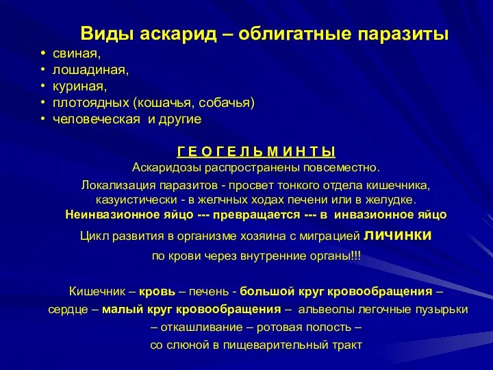 Виды аскарид – облигатные паразиты свиная, лошадиная, куриная, плотоядных (кошачья, собачья)