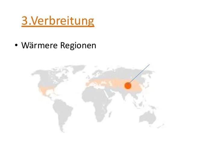 3.Verbreitung Wärmere Regionen