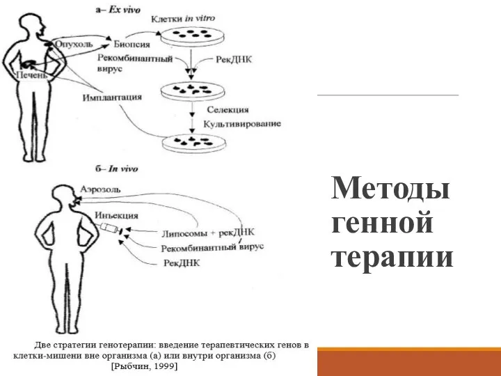 Методы генной терапии