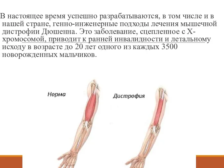 В настоящее время успешно разрабатываются, в том числе и в нашей