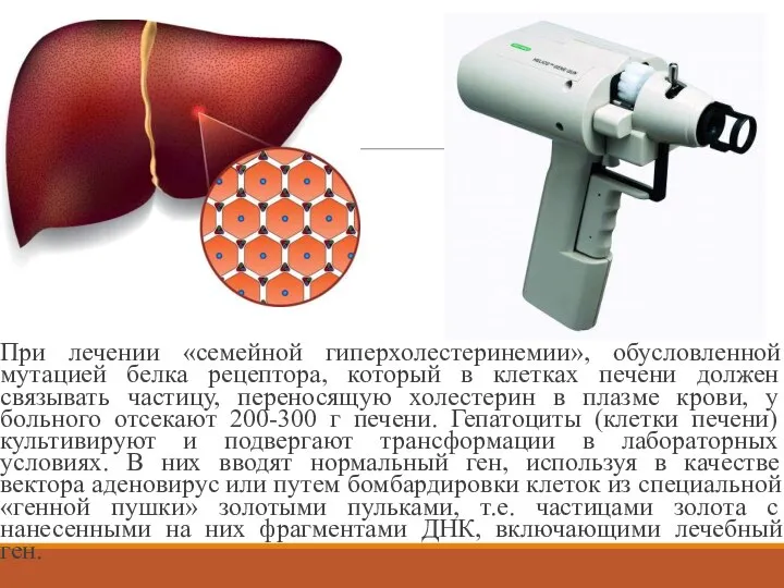 При лечении «семейной гиперхолестеринемии», обусловленной мутацией белка рецептора, который в клетках