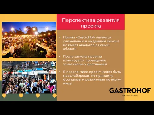 Перспектива развития проекта Проект «GastroHof» является уникальным и на данный момент