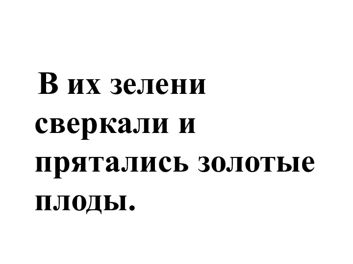 В их зелени сверкали и прятались золотые плоды.