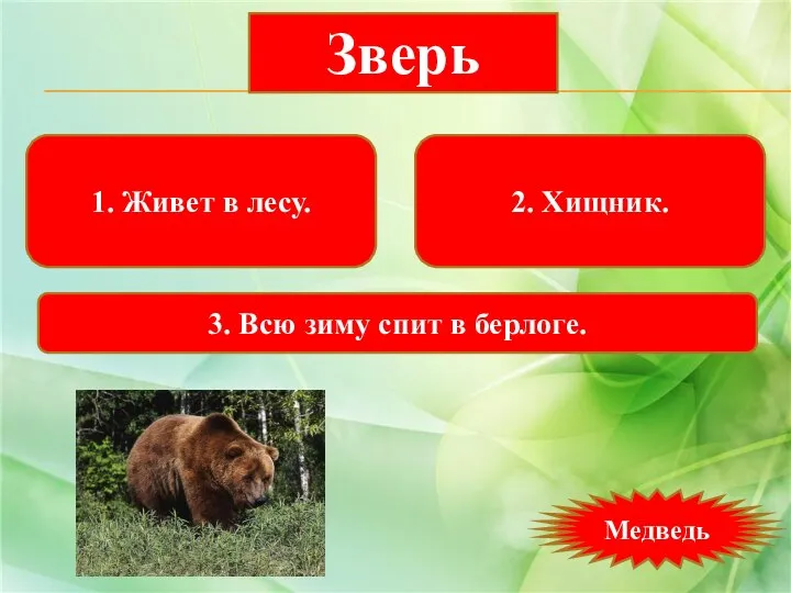 1. Живет в лесу. 2. Хищник. 3. Всю зиму спит в берлоге. Зверь Медведь