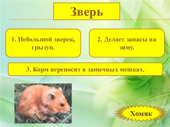 1. Небольшой зверек, грызун. 2. Делает запасы на зиму. 3. Корм