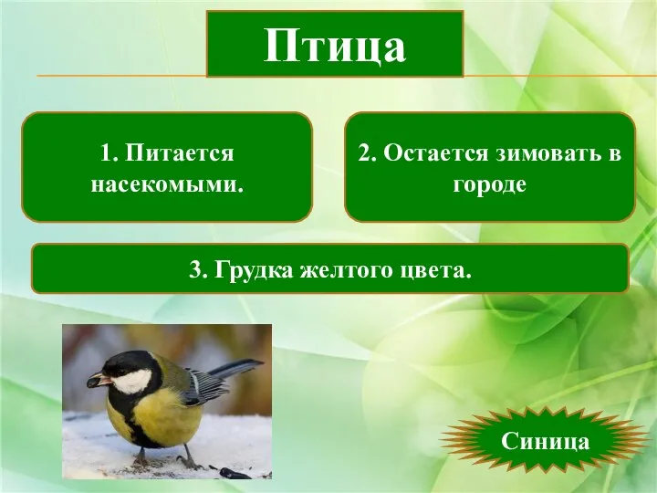 1. Питается насекомыми. 2. Остается зимовать в городе 3. Грудка желтого цвета. Птица Синица