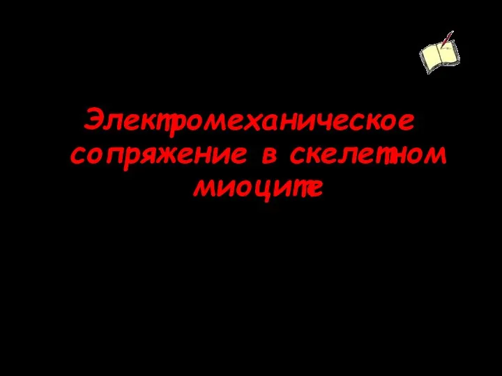 Электромеханическое сопряжение в скелетном миоците