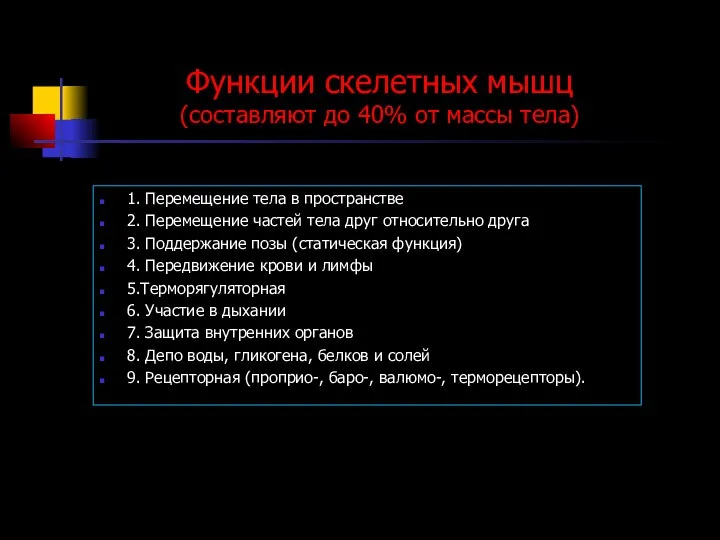 Функции скелетных мышц (составляют до 40% от массы тела) 1. Перемещение