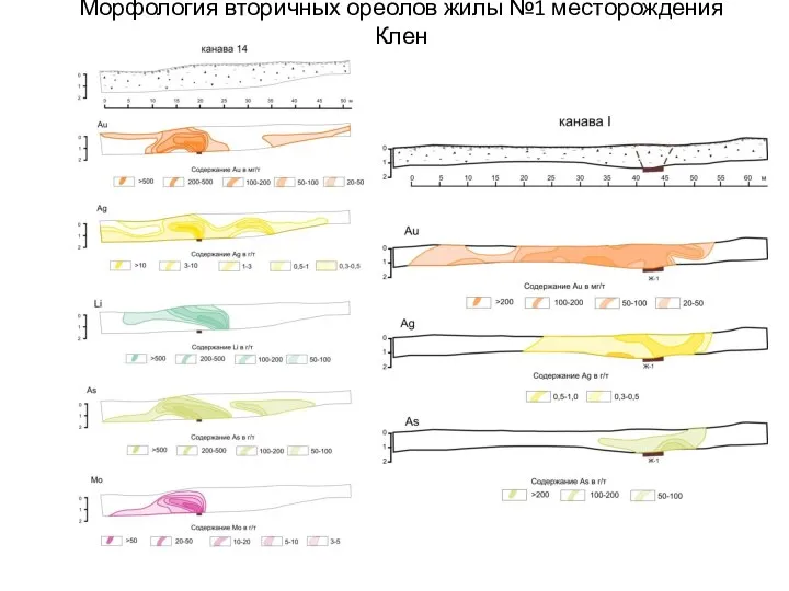 Морфология вторичных ореолов жилы №1 месторождения Клен