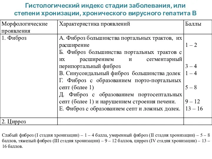 Гистологический индекс стадии заболевания, или степени хронизации, хронического вирусного гепатита В