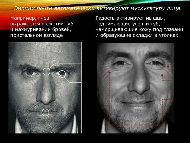 Эмоции почти автоматически активируют мускулатуру лица. Например, гнев выражается в сжатии