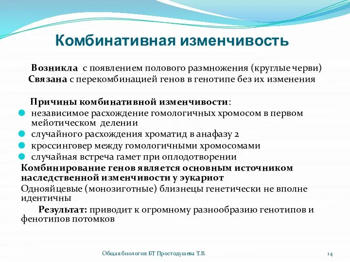 Комбинативная изменчивость Возникла с появлением полового размножения (круглые черви) Связана с