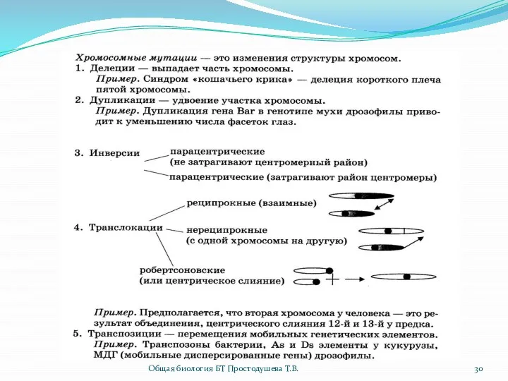 Общая биология БТ Простодушева Т.В.