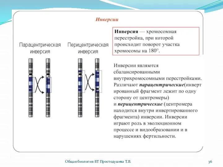 Общая биология БТ Простодушева Т.В.