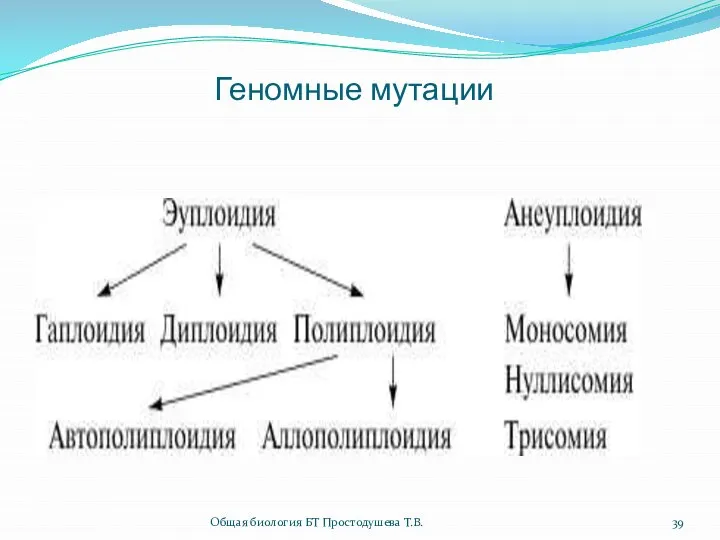 Геномные мутации Общая биология БТ Простодушева Т.В.