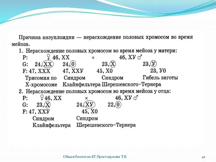 Общая биология БТ Простодушева Т.В.