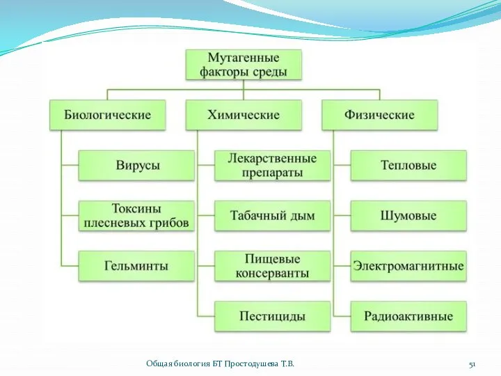 Общая биология БТ Простодушева Т.В.