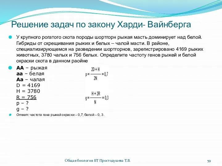 Решение задач по закону Харди- Вайнберга У крупного рогатого скота породы