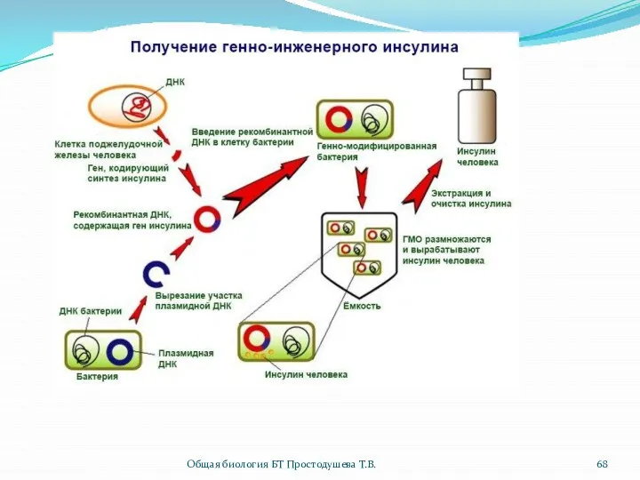 Общая биология БТ Простодушева Т.В.