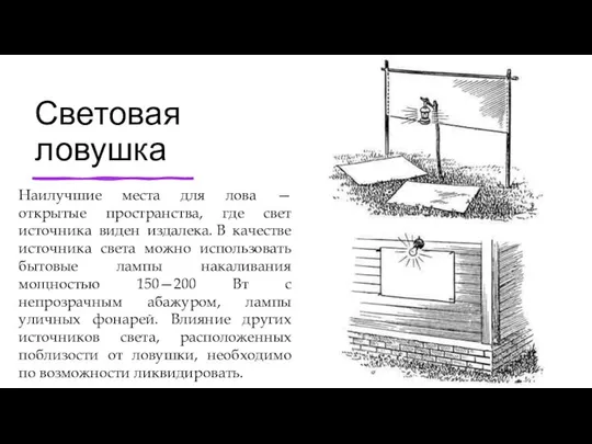 Световая ловушка Наилучшие места для лова — открытые пространства, где свет