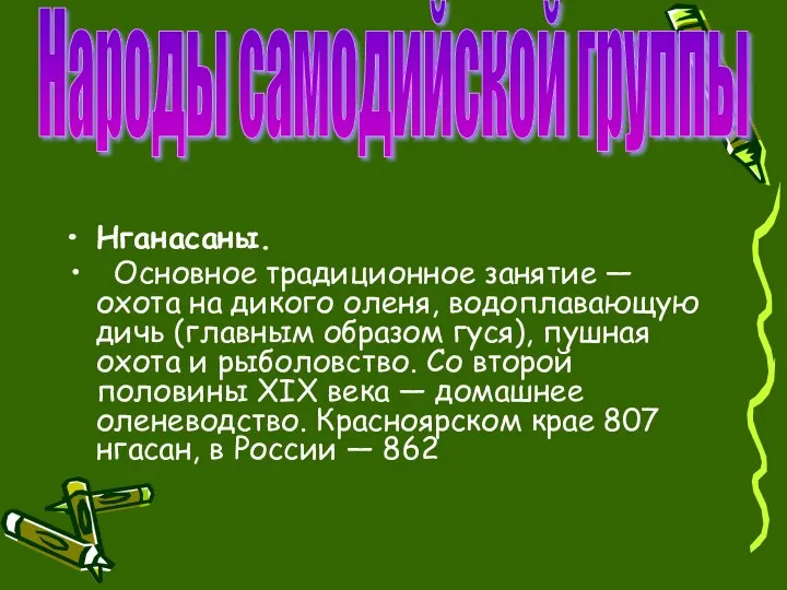 Нганасаны. Основное традиционное занятие — охота на дикого оленя, водоплавающую дичь