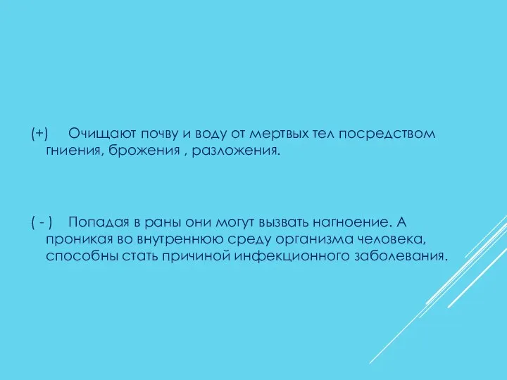 (+) Очищают почву и воду от мертвых тел посредством гниения, брожения