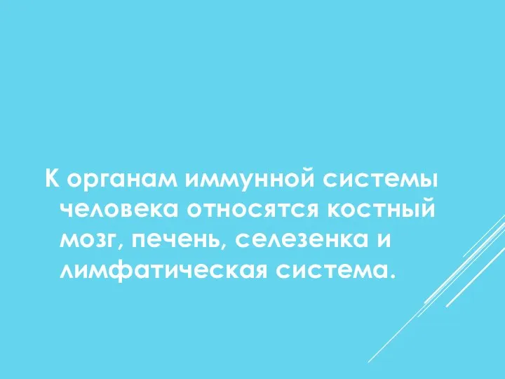 К органам иммунной системы человека относятся костный мозг, печень, селезенка и лимфатическая система.