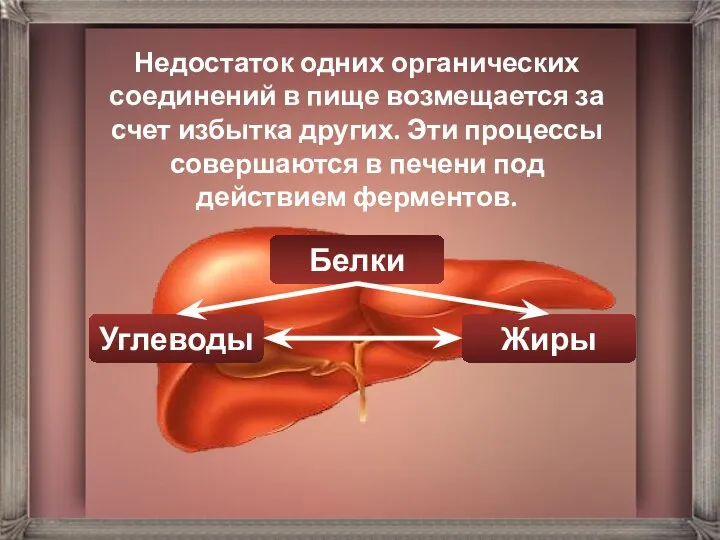 Недостаток одних органических соединений в пище возмещается за счет избытка других.