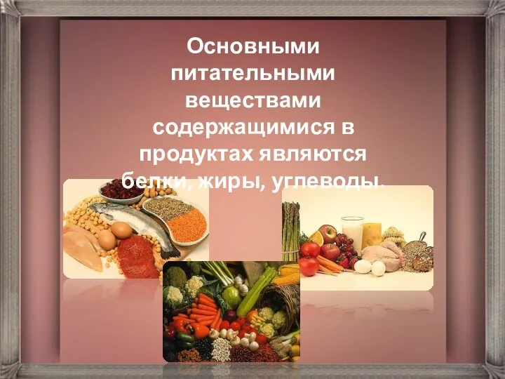 Основными питательными веществами содержащимися в продуктах являются белки, жиры, углеводы.