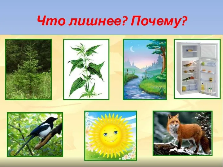 Что лишнее? Почему?