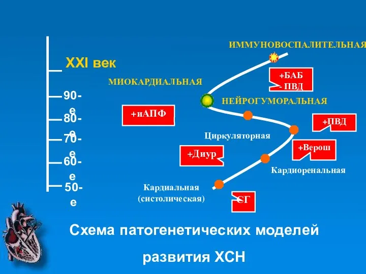 50-е 60-е 70-е 80-е 90-е XXI век МИОКАРДИАЛЬНАЯ ИММУНОВОСПАЛИТЕЛЬНАЯ НЕЙРОГУМОРАЛЬНАЯ Циркуляторная