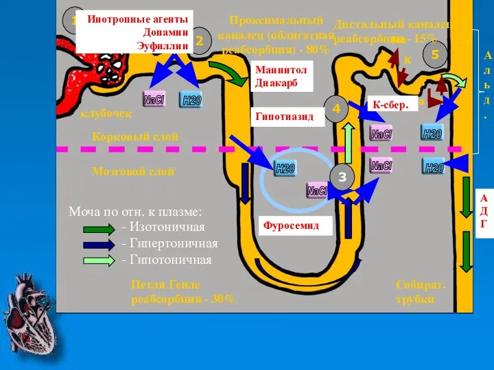 NaCl NaCl NaCl NaCl H20 H20 H20 H20 2 3 4