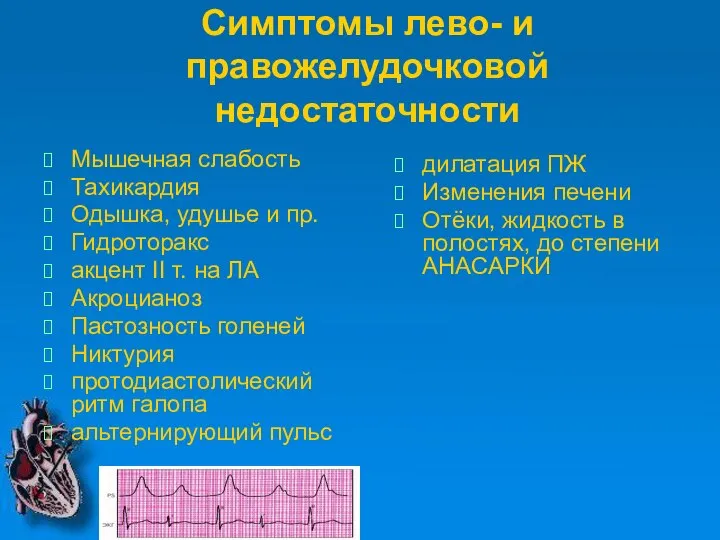 Симптомы лево- и правожелудочковой недостаточности Мышечная слабость Тахикардия Одышка, удушье и