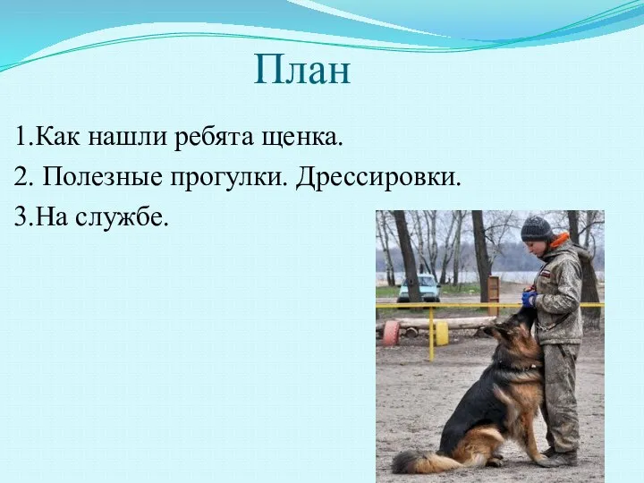 План 1.Как нашли ребята щенка. 2. Полезные прогулки. Дрессировки. 3.На службе.