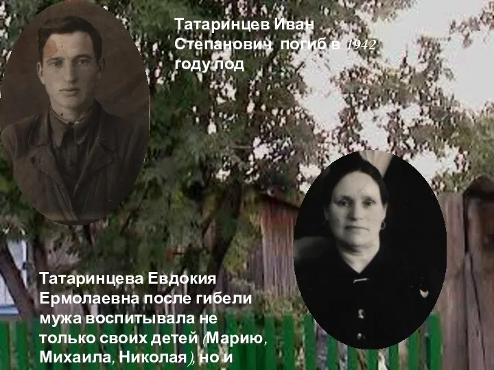 Татаринцев Иван Степанович погиб в 1942 году под Татаринцева Евдокия Ермолаевна