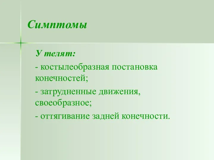 Симптомы У телят: - костылеобразная постановка конечностей; - затрудненные движения, своеобразное; - оттягивание задней конечности.