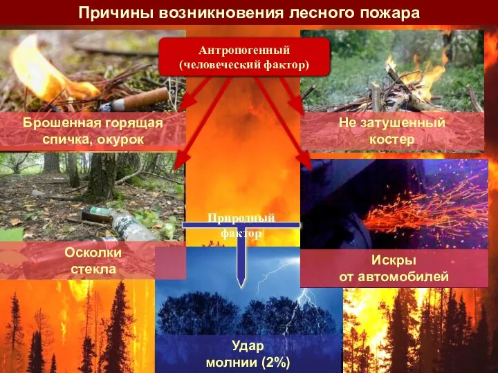 Причины возникновения лесного пожара Брошенная горящая спичка, окурок Не затушенный костер