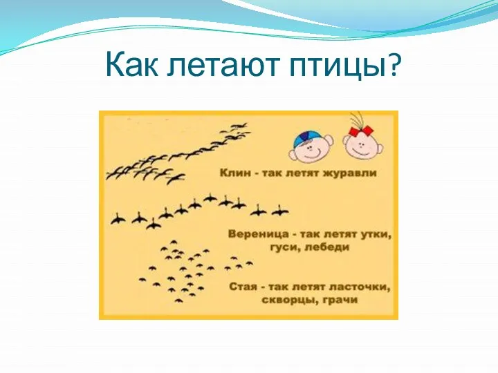 Как летают птицы?