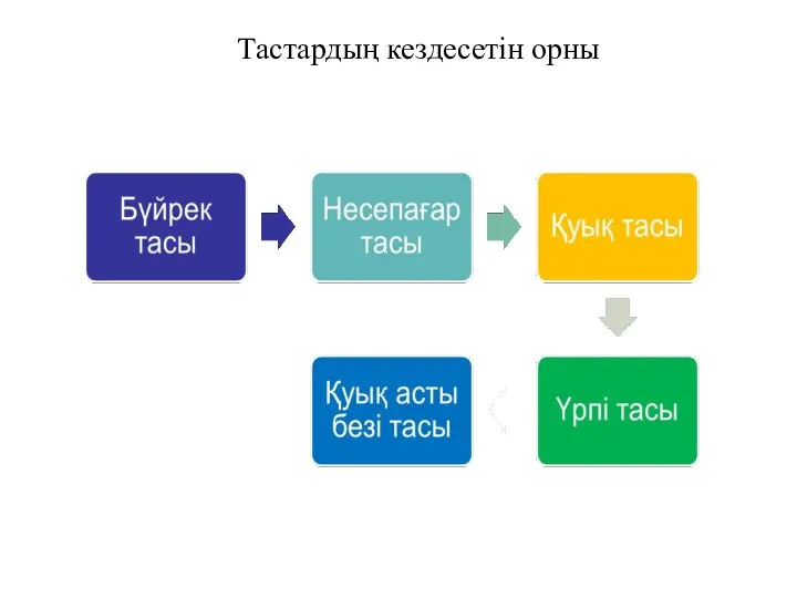 Тастардың кездесетін орны