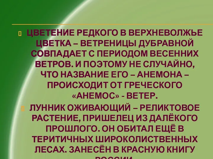 ЦВЕТЕНИЕ РЕДКОГО В ВЕРХНЕВОЛЖЬЕ ЦВЕТКА – ВЕТРЕНИЦЫ ДУБРАВНОЙ СОВПАДАЕТ С ПЕРИОДОМ