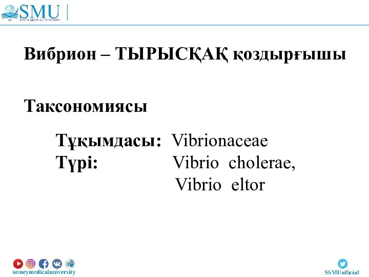 Вибрион – ТЫРЫСҚАҚ қоздырғышы Таксономиясы Тұқымдасы: Vibrionaceae Түрі: Vibrio cholerae, Vibrio eltor